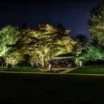 Uplight 280