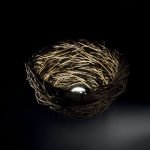 Nest