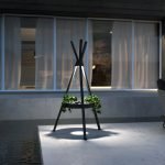 TP Lamp