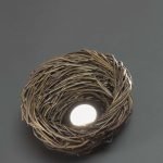 Nest