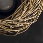 Nest