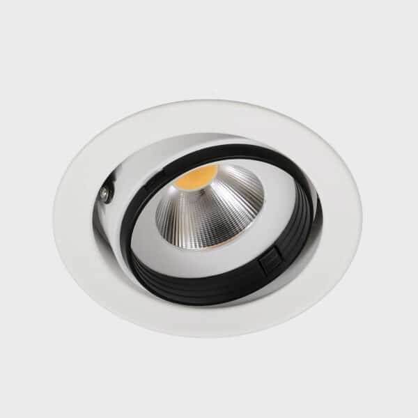 Mini Gimbal Downlight